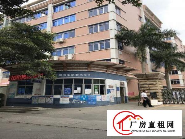  沙湾工业区一二楼厂房1600平出租可分大小面积