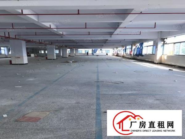  沙湾工业区一二楼厂房1600平出租可分大小面积