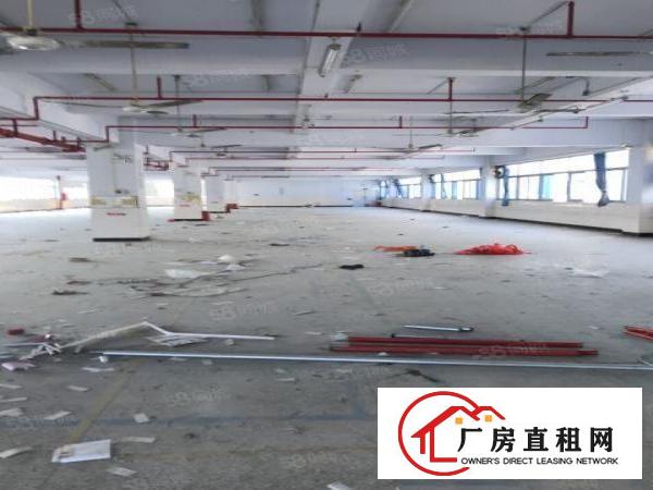  沙湾工业区一二楼厂房1600平出租可分大小面积