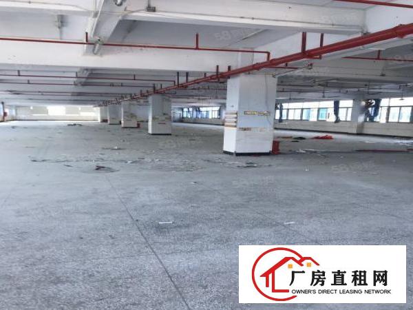  沙湾工业区一二楼厂房1600平出租可分大小面积