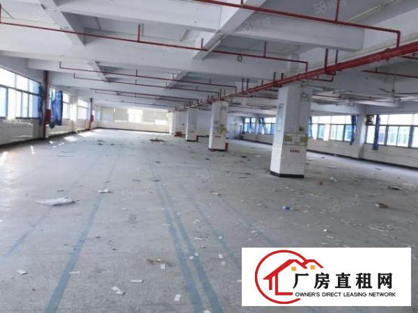  沙湾工业区一二楼厂房1600平出租可分大小面积