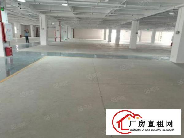  3500平红星美凯龙园区配套成熟商铺出租厂房出租展厅业主直租