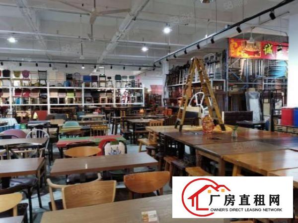  3500平红星美凯龙园区配套成熟商铺出租厂房出租展厅业主直租