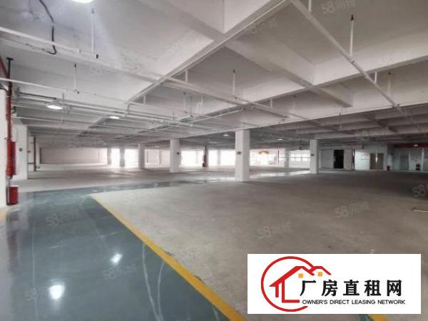  3500平红星美凯龙园区配套成熟商铺出租厂房出租展厅业主直租