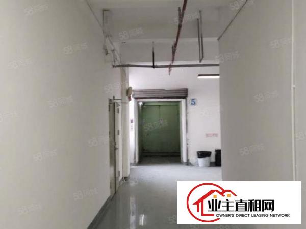  大芬东大街28元厂房130平270平560平不限行业招租