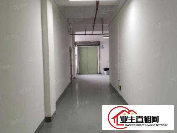  大芬东大街28元厂房130平270平560平不限行业招租