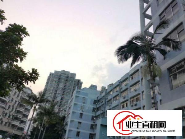  大芬东大街28元厂房130平270平560平不限行业招租