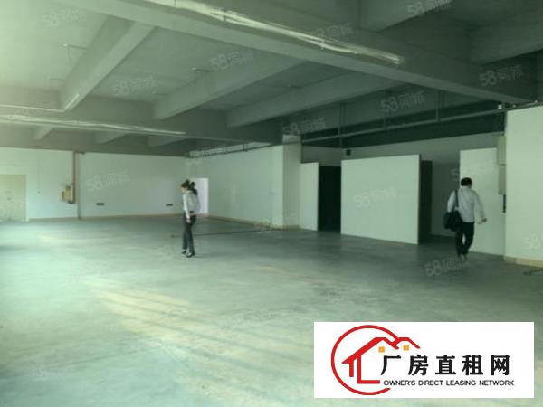  布吉联创科技园4楼精装修厂房可做仓库电商1200平出租
