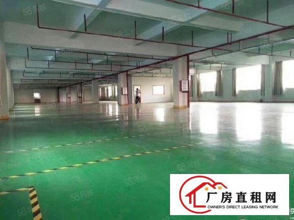  布吉李朗主干道旁原房东独门独院厂房6000平可办环评可分租