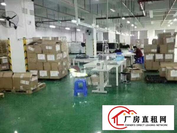  布吉上李朗新空出一楼1000平方厂房出租，带有豪华装修水电齐