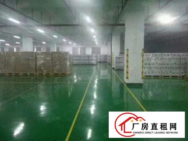  布吉上李朗新空出一楼1000平方厂房出租，带有豪华装修水电齐