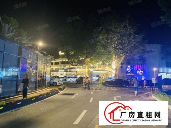  层高5.4米，原房东出租，带消防喷淋可办环评。享政府补贴。