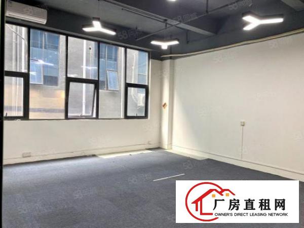  龙岗区丹竹头地铁口附近316平带装修办公厂房出租