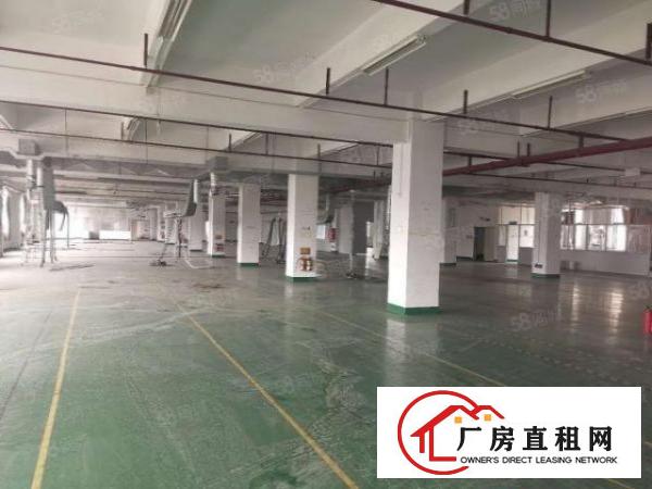  龙岗布吉南岭社区一楼1200平二楼1200平厂房出租，有装修