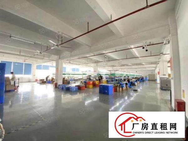  布吉联创工业园2万平独门独院厂房出租500平起分租一楼仓库