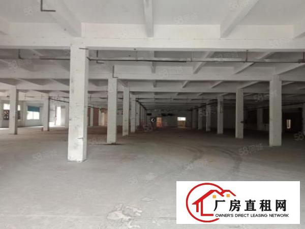  早禾坑4600平方厂房出租