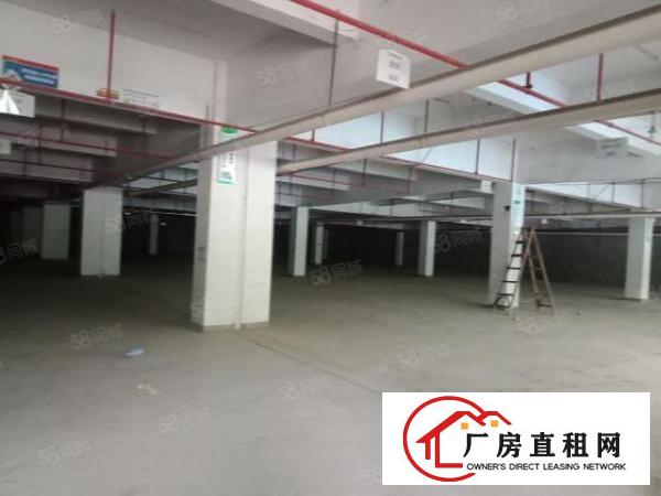  早禾坑4600平方厂房出租