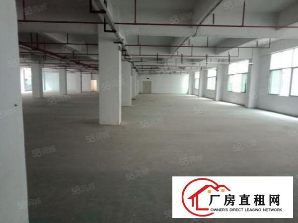  早禾坑4600平方厂房出租