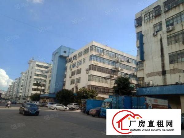  早禾坑4600平方厂房出租