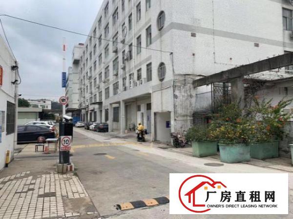  上李朗附近900平米仓库出租，面积可大可小