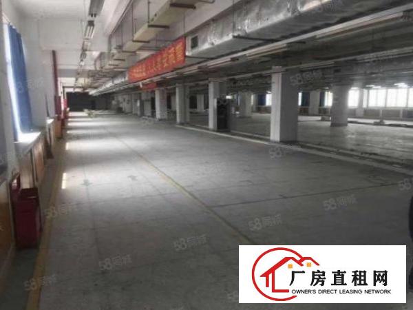  布吉大芬地铁站东大街附近楼上1000平方特价25元厂房出租