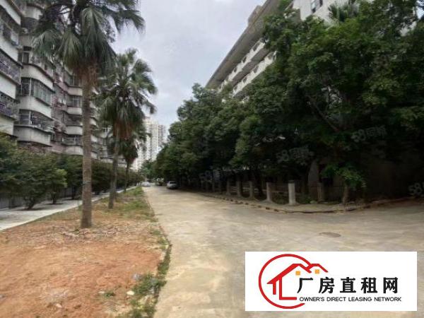  布吉大芬地铁站东大街附近楼上1000平方特价25元厂房出租