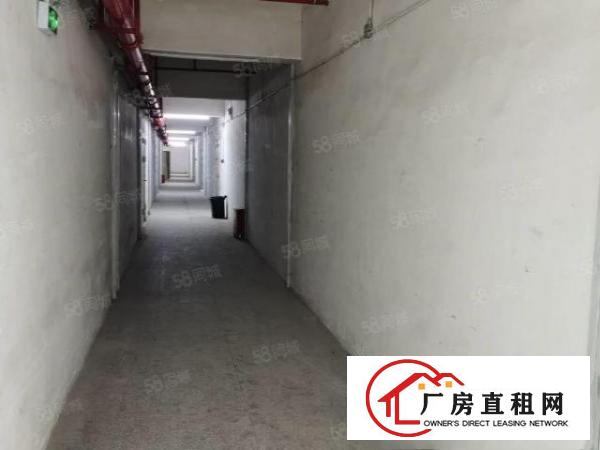  丹竹头厂房100平130平185平仓库出租