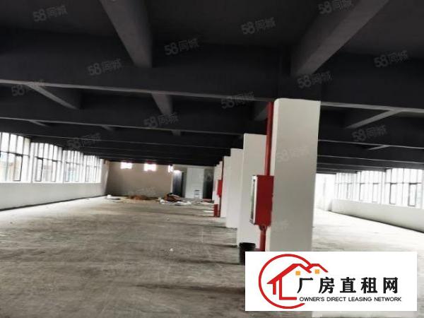  布吉上李朗工业园3800平厂房出租可分租主干道空地大