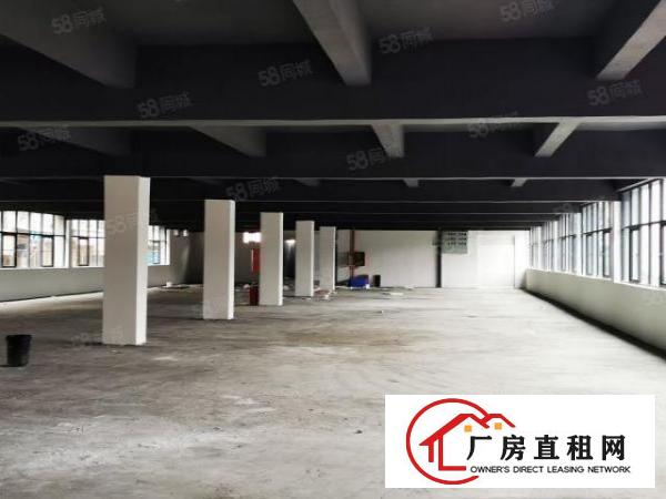  布吉上李朗工业园3800平厂房出租可分租主干道空地大