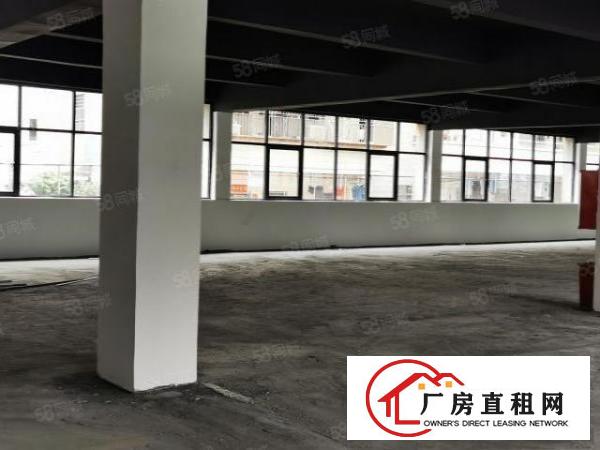  布吉上李朗工业园3800平厂房出租可分租主干道空地大