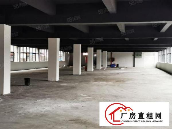  布吉上李朗工业园3800平厂房出租可分租主干道空地大