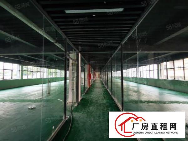  布吉上李朗工业园3800平厂房出租可分租主干道空地大