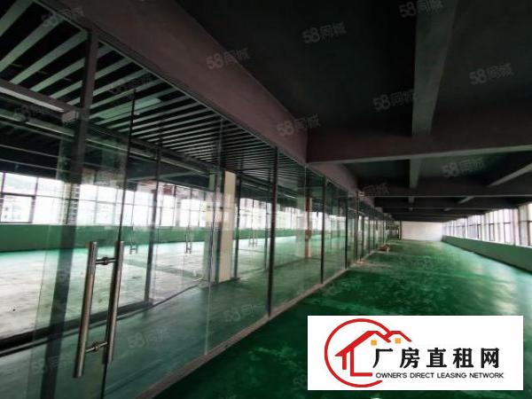  布吉上李朗工业园3800平厂房出租可分租主干道空地大