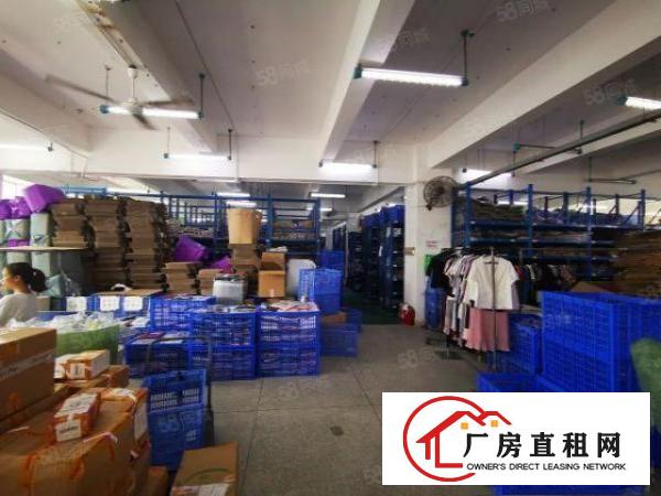  1000平起分布吉原房东高新园区20000平标准厂房出租