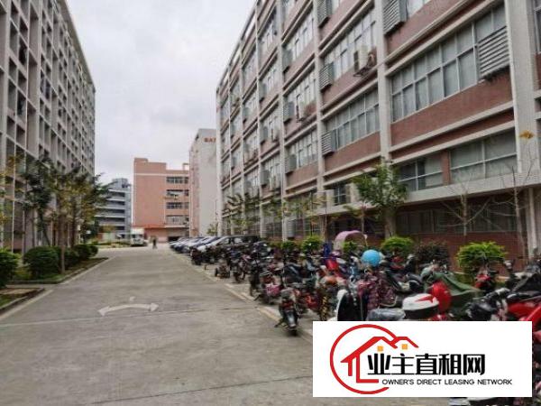  200平方起租布吉丹竹头地铁站附近多栋厂房仓库出租转租带装修