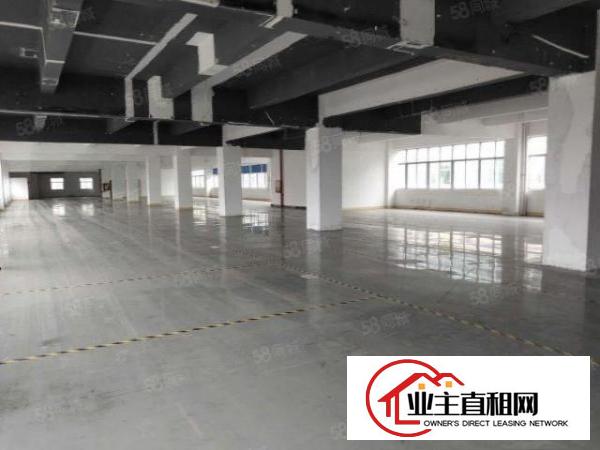  布吉原房东厂房出租，2楼1000平方标准厂房出租