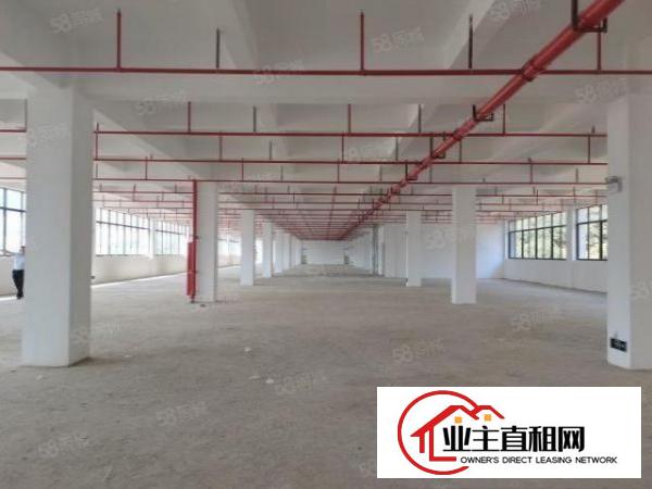  布吉原房东厂房出租，2楼1000平方标准厂房出租