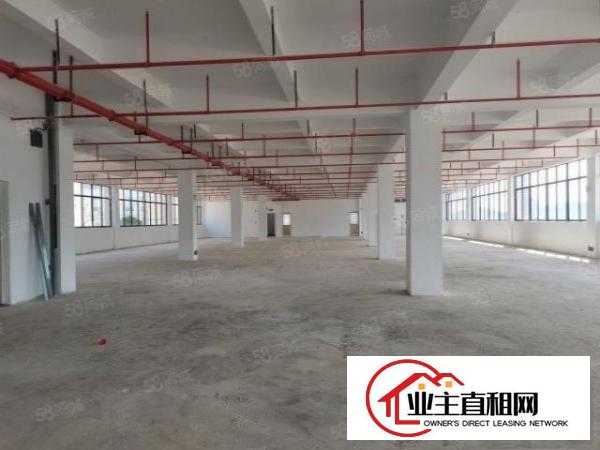  布吉原房东厂房出租，2楼1000平方标准厂房出租