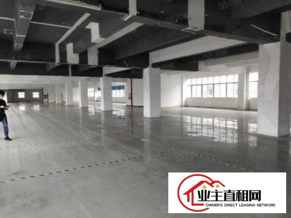  布吉原房东厂房出租，2楼1000平方标准厂房出租