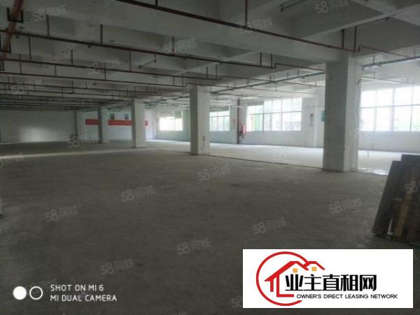  布吉原房东厂房出租，2楼1000平方标准厂房出租