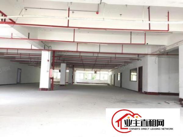  布吉原房东厂房出租，2楼1000平方标准厂房出租