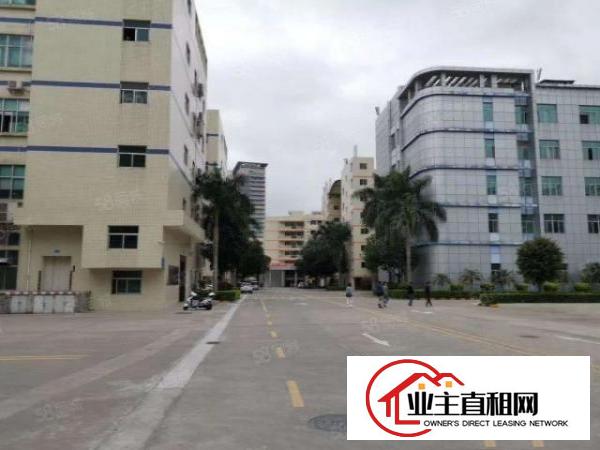  布吉原房东厂房出租，2楼1000平方标准厂房出租