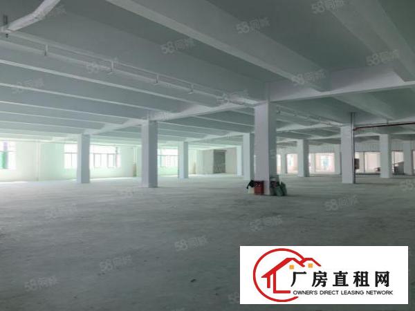  布吉原房东2000平方厂房出租有红本大小可分