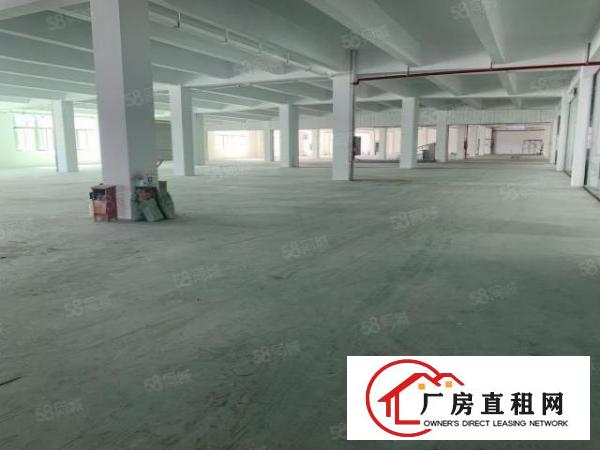  布吉原房东2000平方厂房出租有红本大小可分