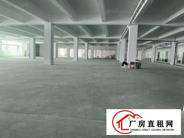  布吉原房东2000平方厂房出租有红本大小可分