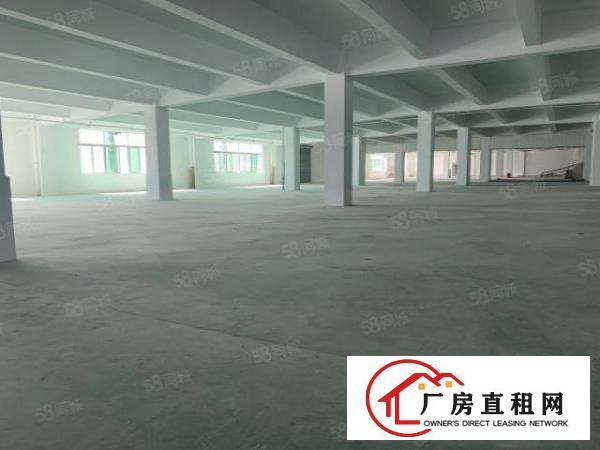  布吉原房东2000平方厂房出租有红本大小可分
