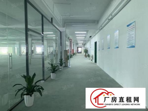  布吉原房东2000平方厂房出租有红本大小可分