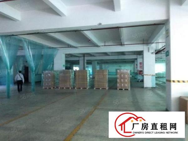  布吉十号地铁口甘坑站附近原房栋直租独栋20000平厂房