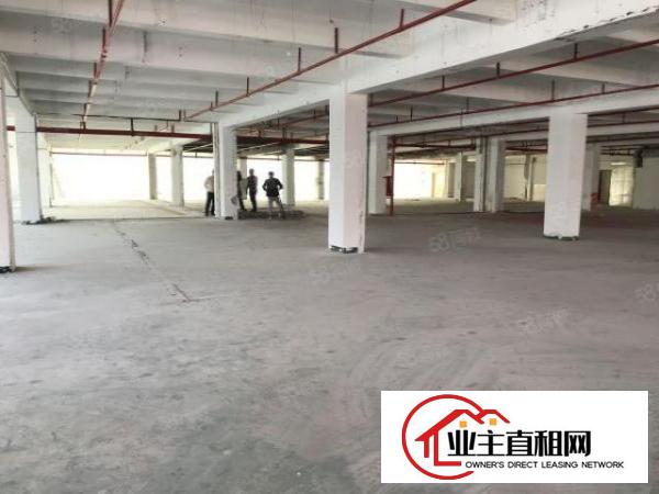  大芬油画厂出租260平380平500平1780平大小可分租