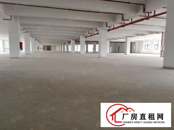  200平方起租布吉工业区整栋厂房出租转租无尘车间出租